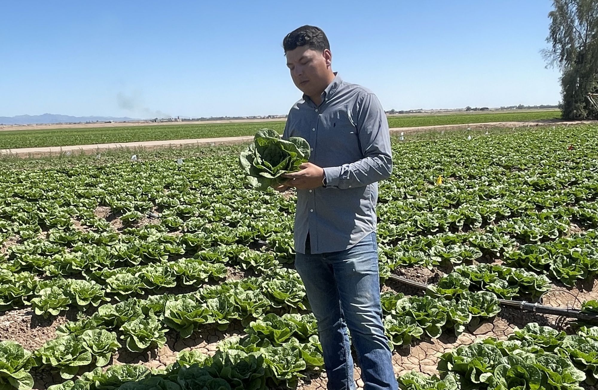 University of Arizona Yuma senior named a Future Leader in Agriculture